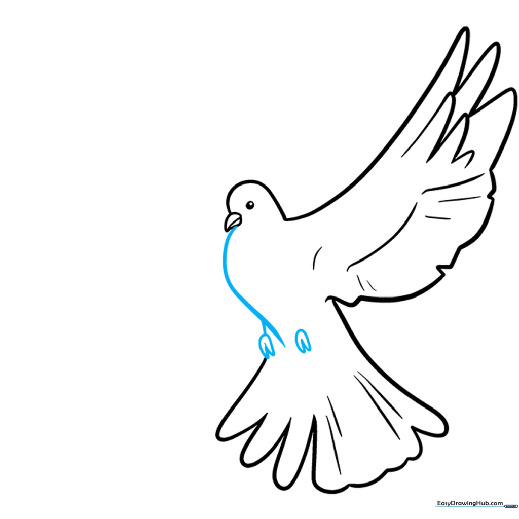 Drawing the small feet of the dove tucked against the body.