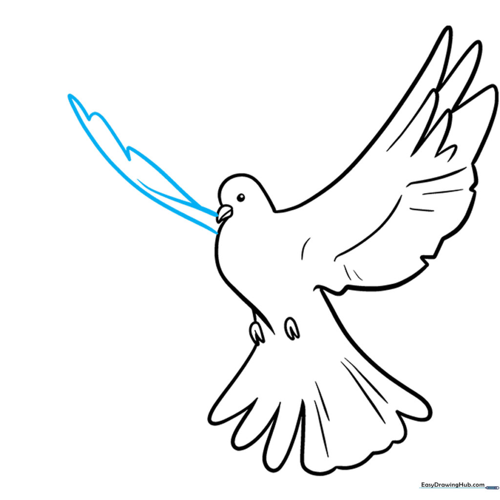 Adding the second wing to the dove to create depth and perspective.