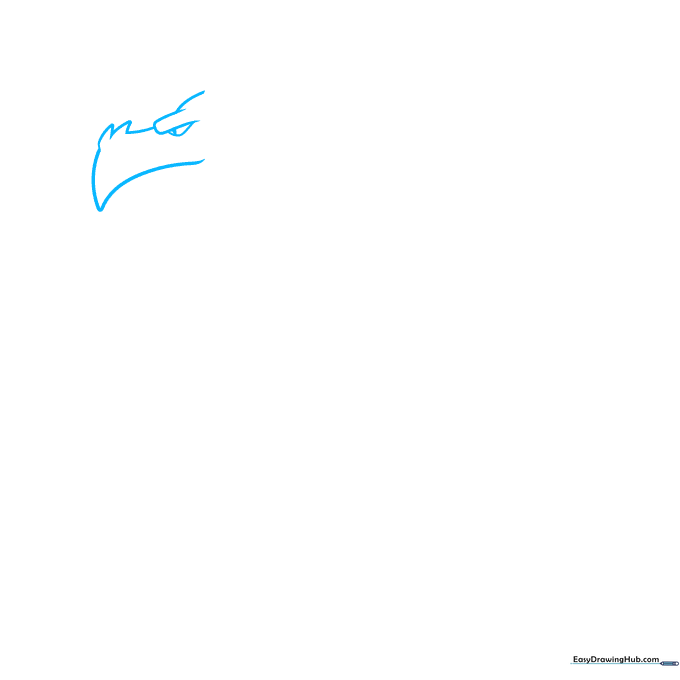 Close-up sketch of a dragon's head showing the snout, nostril, and eye structure.