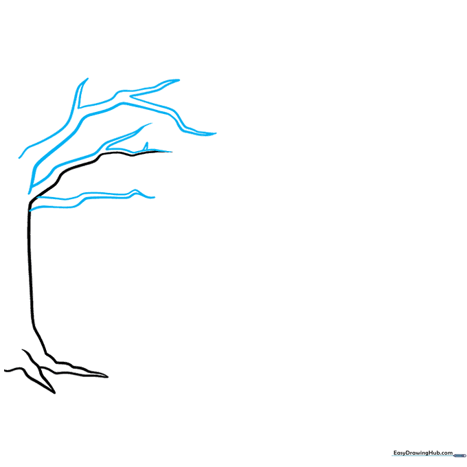 Drawing showing the addition of crooked, pointed branches and a loose canopy outline.