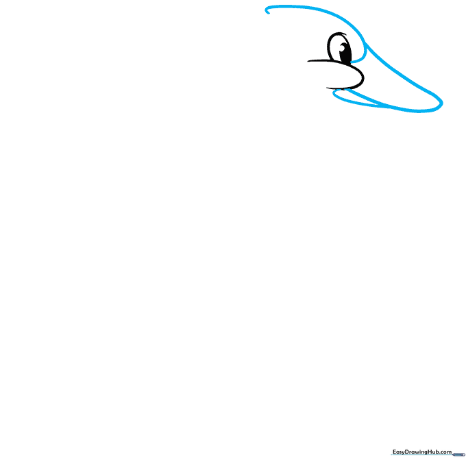 Drawing the upper and lower sections of a duck's beak using smooth, overlapping curves.