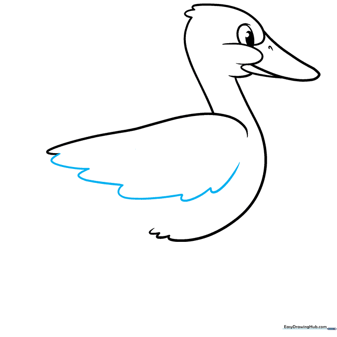 Adding wing feathers using a series of connected, rounded scalloped lines.