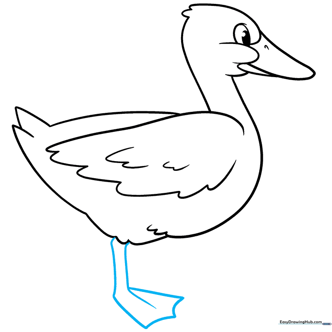 Sketching a webbed duck foot with scalloped toes.