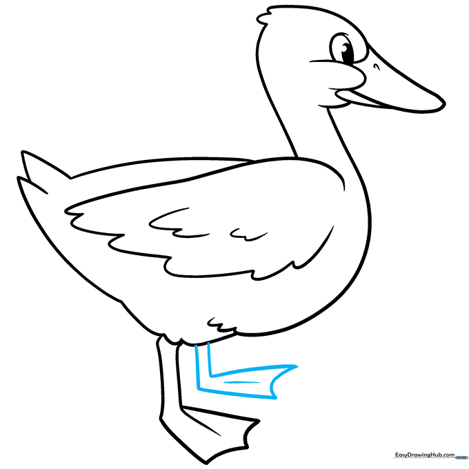 Completing the second leg and foot to finish the duck's outline.