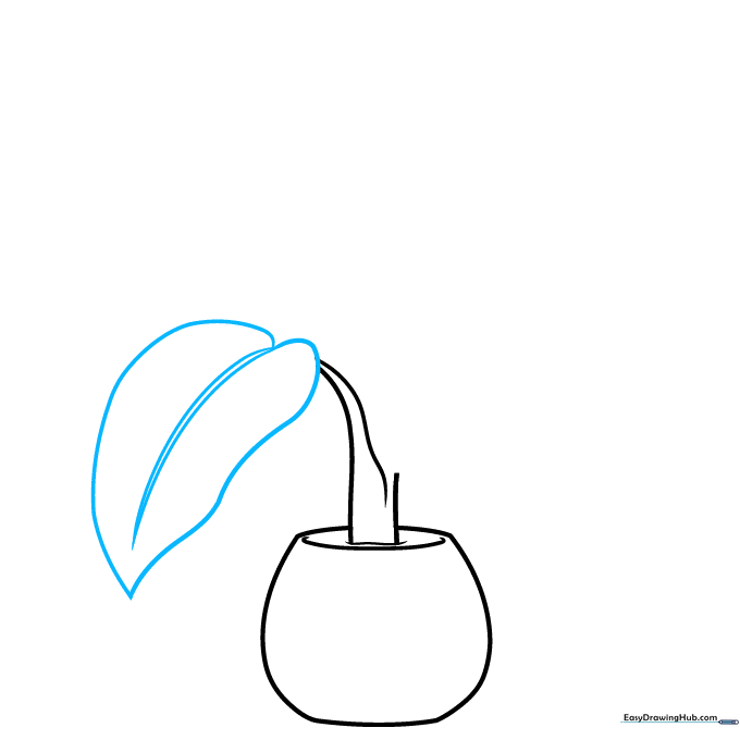 Drawing the first heart-shaped leaf attached to a slender stem rising from the pot.