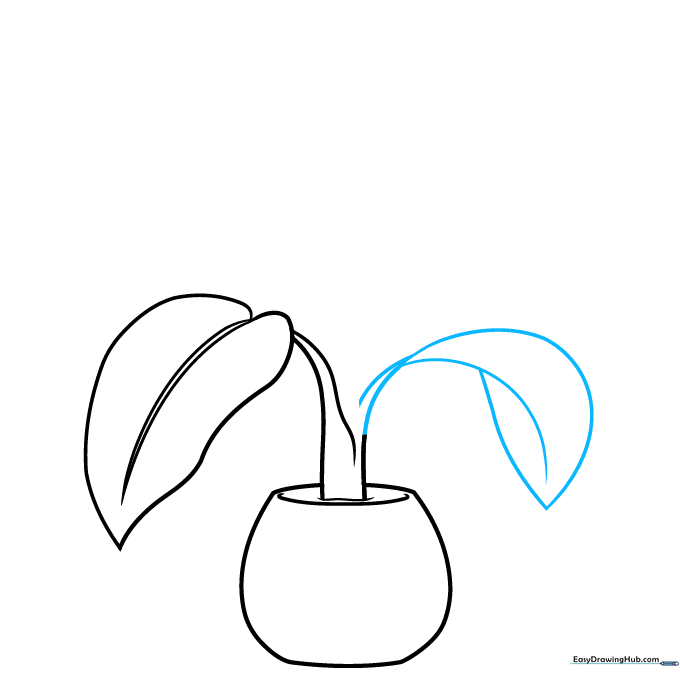 Detailing the leaf with a central vein line to add structure and depth to the drawing.