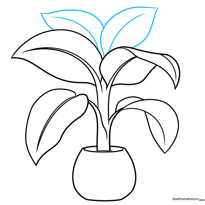 Sketching two additional leaves at the top of the plant to create a fuller look.
