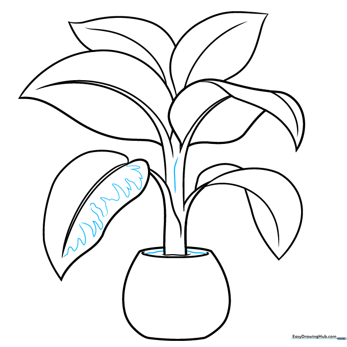 Adding texture to the stem and sketching the variegated patterns on the leaves.