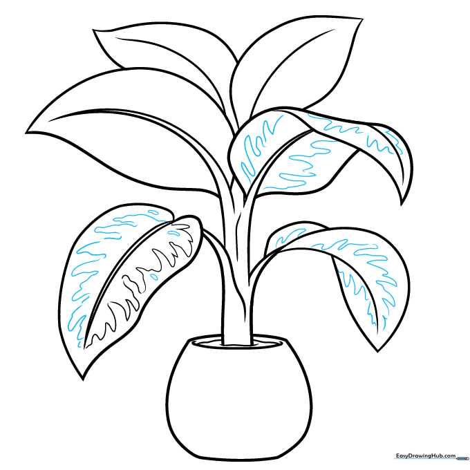 Adding detailed zigzag and rounded patterns to the leaves to represent variegation.