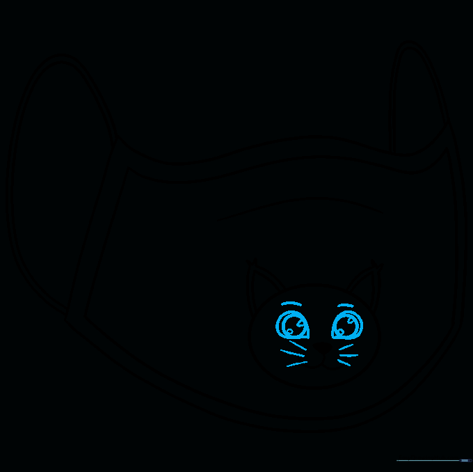 Adding teardrop-shaped eyes, pupils, eyebrows, and whiskers to the cat face.