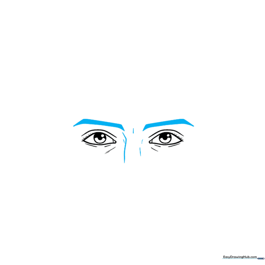 Drawing of eyebrows and the beginning of a nose bridge centered between the eyes.