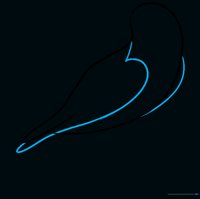 A curved line creating the shape of a folded wing on the falcon's side.
