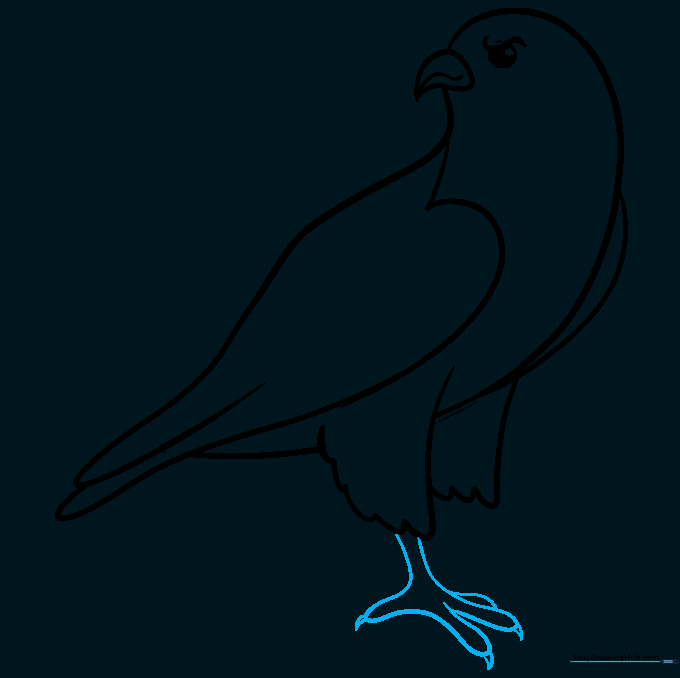 Drawing the falcon's feet with sharp, triangular talons.