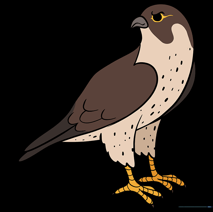 A fully colored, cartoon-style falcon with brown feathers and a yellow beak.