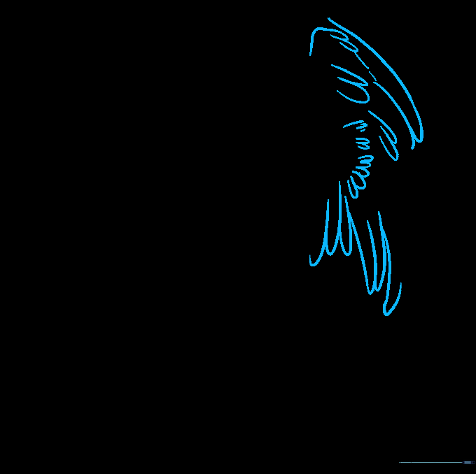 The completed first wing with detailed flight feathers and clean outlines.