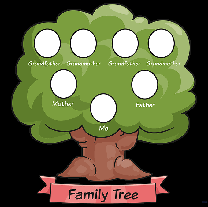 The completed family tree drawing with vibrant colors.