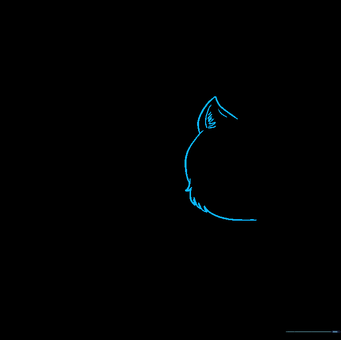 Pencil sketch showing the top of a cat's head with one triangular ear and textured fur on the cheek.