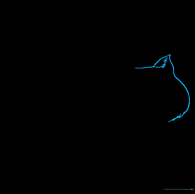 Outline of a cat's head showing two ears and a rounded, furry face shape.
