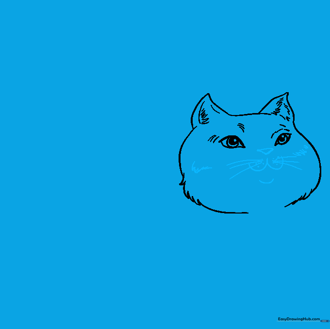 Cat face showing a triangular nose, mouth, and long whiskers.