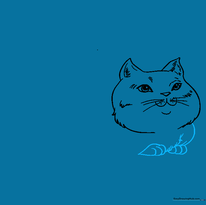 Outline of a cat's rounded belly and small front paws.