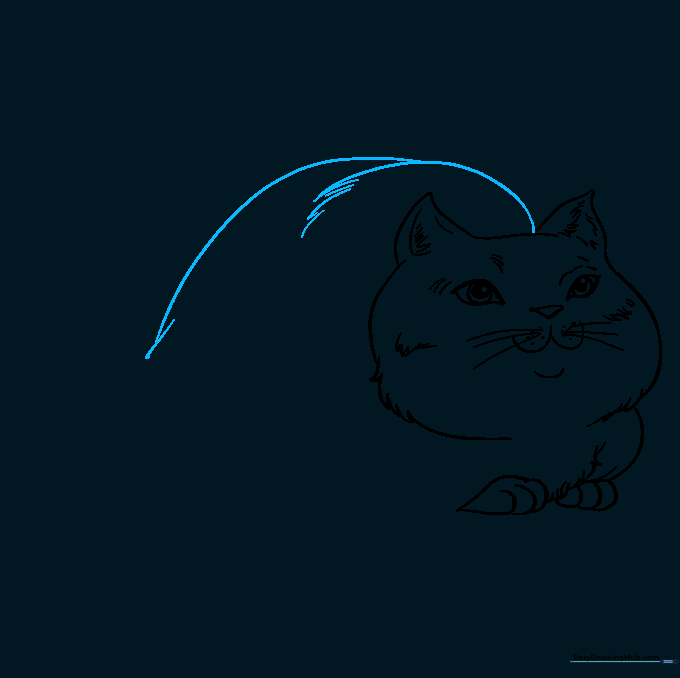 Drawing of the cat's back showing textured fur lines.