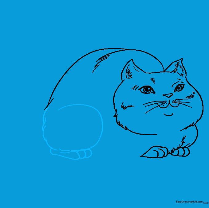 Drawing showing the cat's hind leg and foot structure.