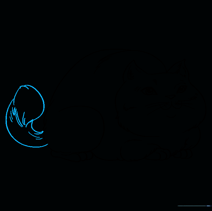 Final outline of the cat including a large, fluffy tail.