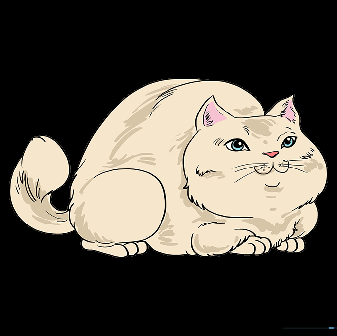 A finished, colored drawing of a cute, chubby cat.