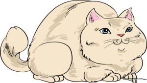 A colorful, finished illustration of a happy, round cat sitting down.