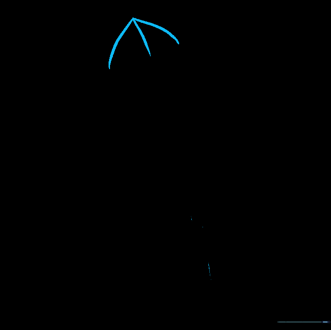 Detailing the tip of the feather with small, outward-curving lines.