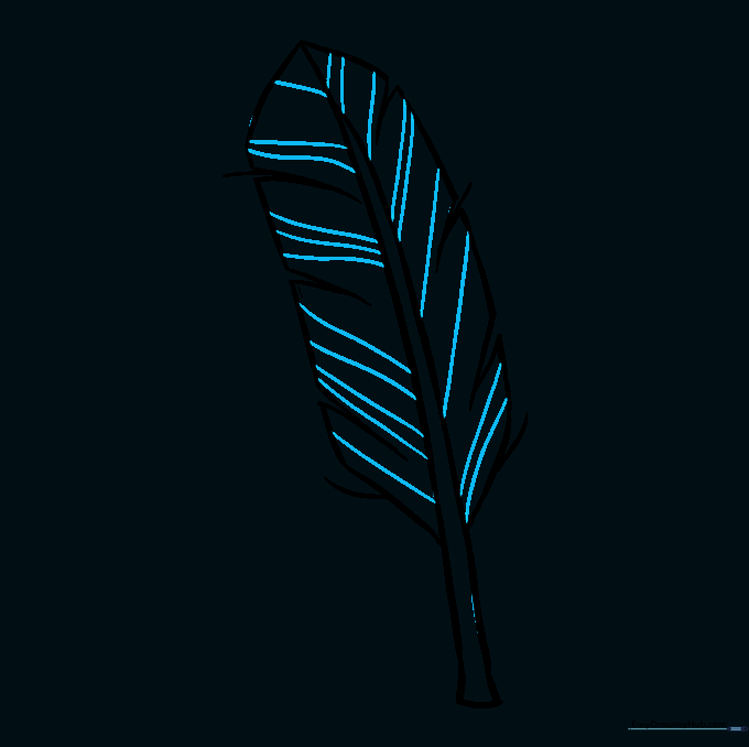 Adding final wavy lines to the feather vane for a realistic finish.