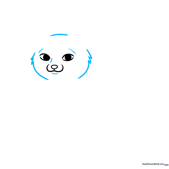 Drawing the outline of the fox's head with jagged lines for fur texture.