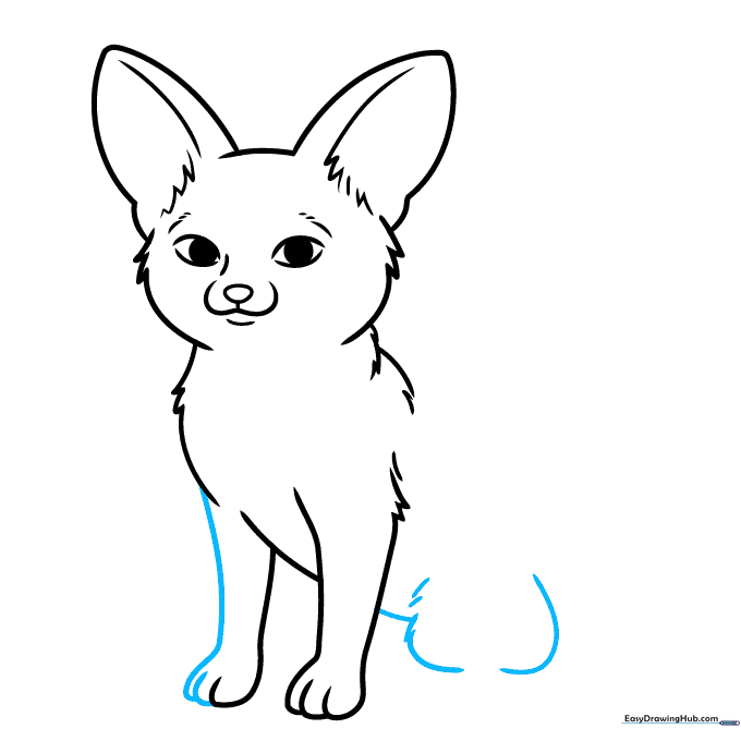 Drawing the second front leg and the beginning of the rear leg.
