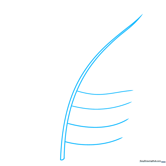 Pencil sketch showing the central curved stem of a fern frond.