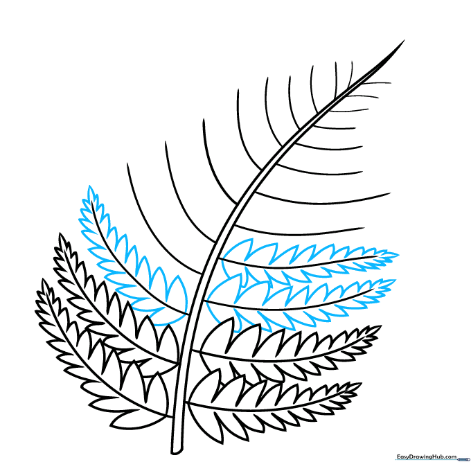 Adding more triangular leaflets to the middle section of the fern.