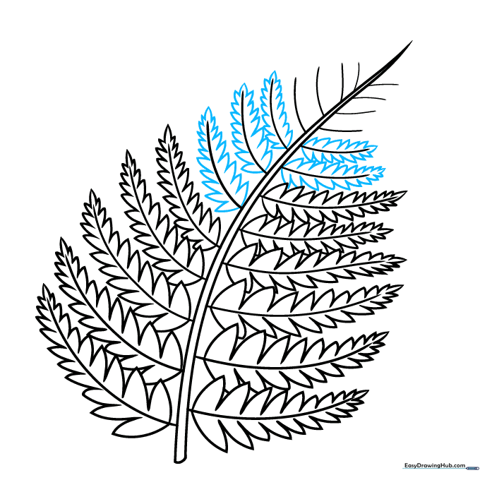 Drawing the jagged, pointed edges of the fern leaves.