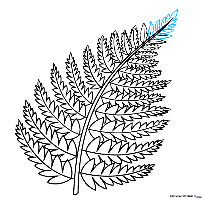 Finalizing the fern outline with clean lines and added vein details.