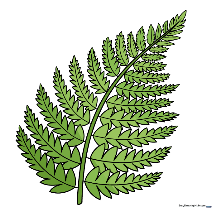 A fully colored, vibrant green fern drawing.