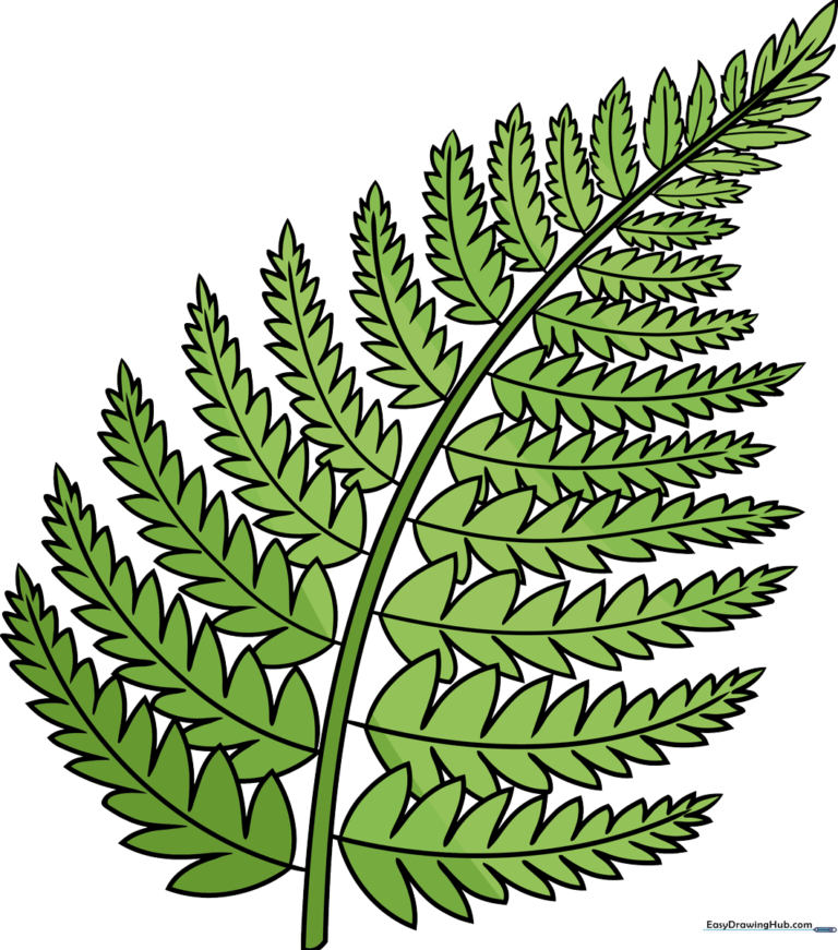 A beautiful, finished fern illustration ready for a nature-themed art project.