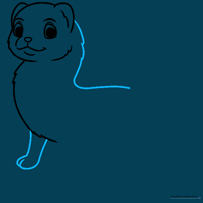Sketch of a ferret body showing the long back line and one front leg.
