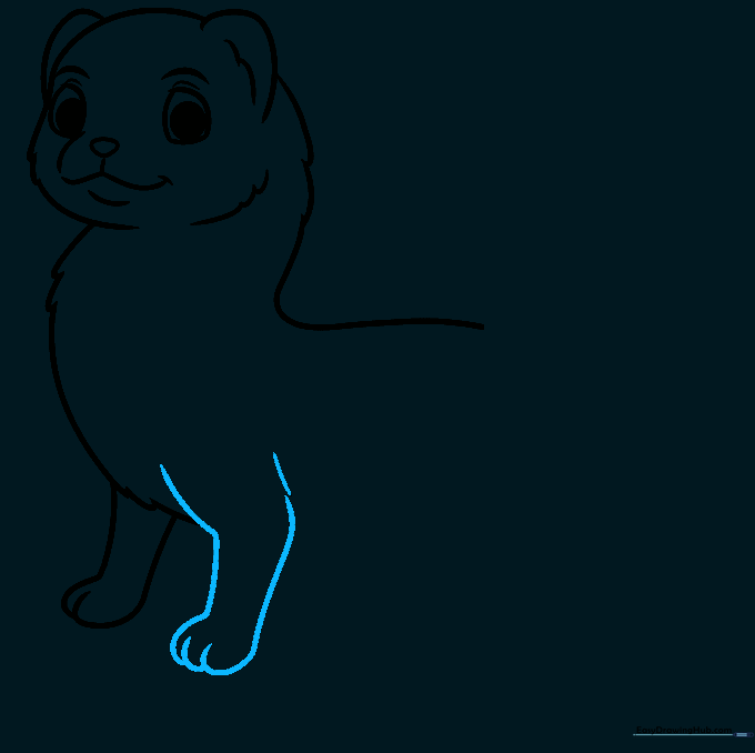 Pencil sketch of a ferret showing both front legs with defined toes.
