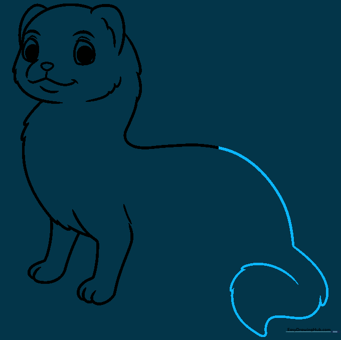 Drawing of a ferret body with a large, fluffy tail added to the rear.