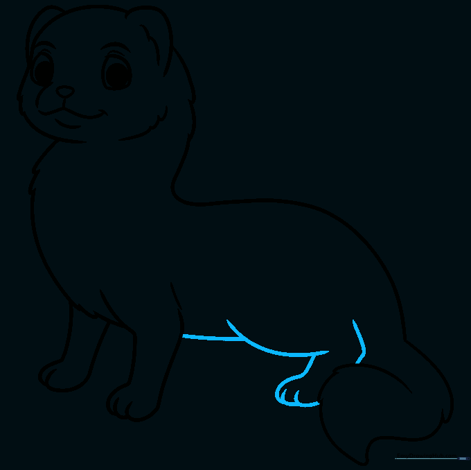 Pencil sketch showing the addition of hind legs and belly to the ferret drawing.