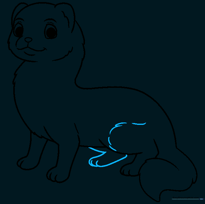 Detailed sketch of a ferret with added fur texture lines on the legs and body.