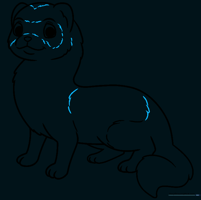 Pencil sketch showing the addition of facial mask markings and back spots.