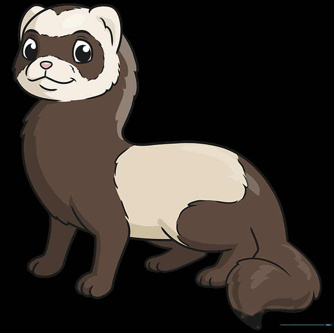 A fully colored, cute cartoon ferret with brown and cream fur markings.