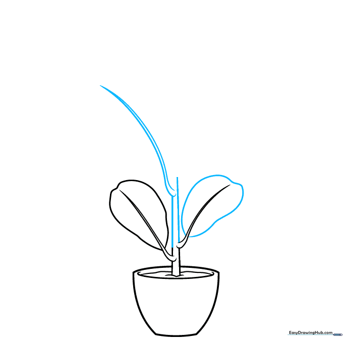 Drawing the central trunk higher with an additional small twig branch.