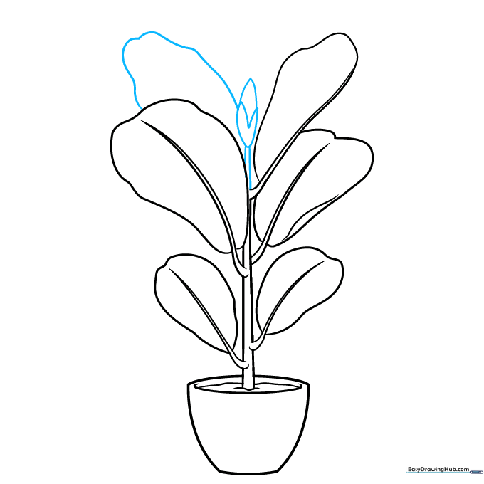 Drawing the top bud of the plant and an additional background leaf.