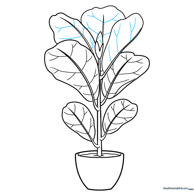Finalizing the drawing with texture on the bud and darker outlines.