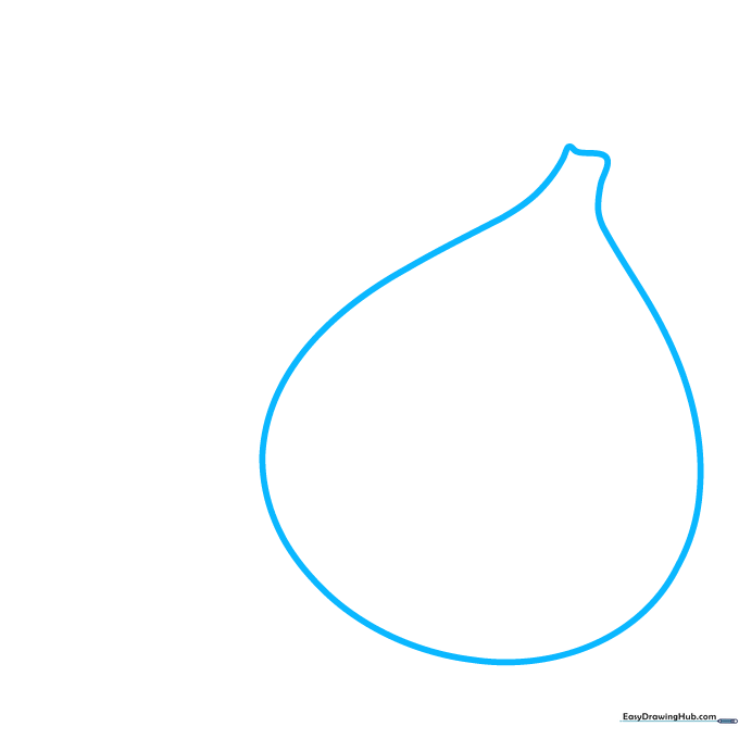 Pencil sketch of a teardrop-shaped fig outline with a flat stem top.